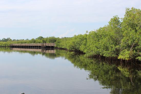 Upper Tampa Bay Park